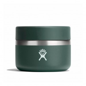 Hydro Flask 12 oz Insulated Food Jar Food Jars Fir | RGQP93024