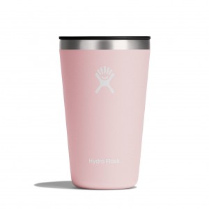 Hydro Flask 16 oz All Around Tumbler Cups & Tumblers Trillium | ERQS13607