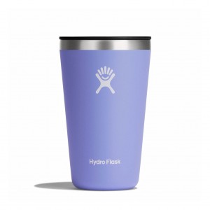 Hydro Flask 16 oz All Around Tumbler Cups & Tumblers Lupine | BYAK84590