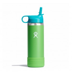 Hydro Flask 18 oz Kids Wide Mouth w/ Straw Cap Bottles Grass | ZCQX14523