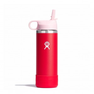 Hydro Flask 18 oz Kids Wide Mouth w/ Straw Cap Bottles Goji | PTNS98372