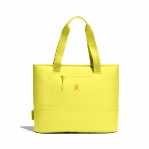 Hydro Flask 20 L Insulated Tote Insulated Totes Cactus | SXWZ24513