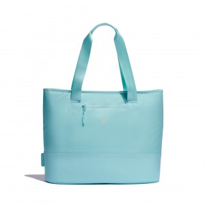 Hydro Flask 20 L Insulated Tote Insulated Totes Alpine | FNXZ47216