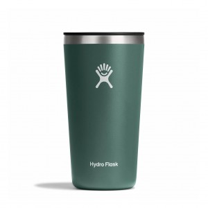 Hydro Flask 20 oz All Around Tumbler Cups & Tumblers Fir | ZLUN14972