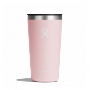 Hydro Flask 20 oz All Around Tumbler Cups & Tumblers Trillium | OEGJ12347
