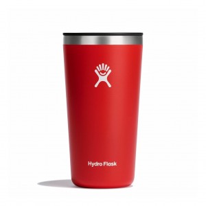 Hydro Flask 20 oz All Around Tumbler Cups & Tumblers Goji | TKYZ40791