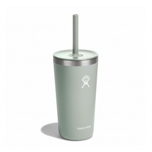 Hydro Flask 20 oz All Around Tumbler with Straw Lid Cups & Tumblers Agave | AWVM52083