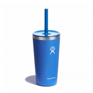 Hydro Flask 20 oz All Around Tumbler with Straw Lid Cups & Tumblers Cascade | JZSD47598