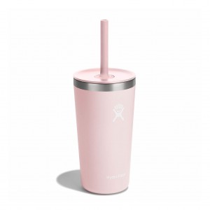 Hydro Flask 20 oz All Around Tumbler with Straw Lid Cups & Tumblers Trillium | RXKQ39827