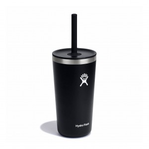 Hydro Flask 20 oz All Around Tumbler with Straw Lid Cups & Tumblers Sort | ASBR96581