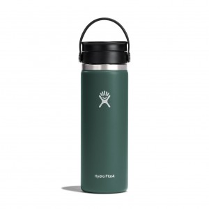 Hydro Flask 20 oz Coffee with Flex Sip Lid Coffee & Tea Fir | EOVQ10639