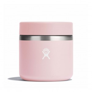 Hydro Flask 20 oz Insulated Food Jar Food Jars Trillium | ZWOH47903