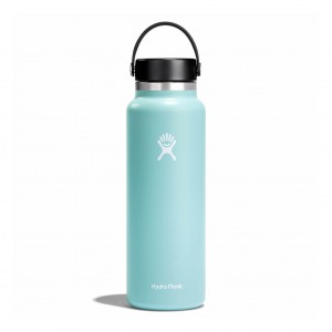 Hydro Flask 20 oz Wide Mouth Bottles Dew | CGAF51304
