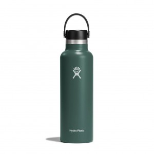 Hydro Flask 21 oz Standard Mouth Bottles Fir | KCGB57062