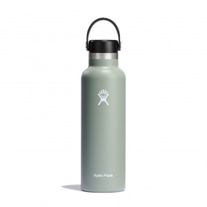 Hydro Flask 21 oz Standard Mouth Bottles Agave | MJVP28453
