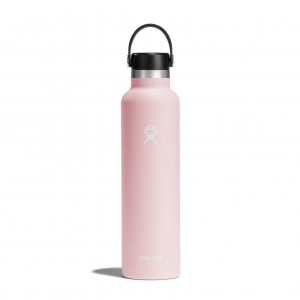 Hydro Flask 24 oz Standard Mouth Bottles Trillium | VXFR02685