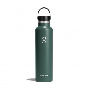 Hydro Flask 24 oz Standard Mouth Bottles Fir | FNOH69702