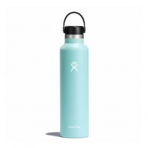 Hydro Flask 24 oz Standard Mouth Bottles Dew | AFRZ57209
