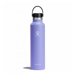 Hydro Flask 24 oz Standard Mouth Bottles Lupine | FWVE42857