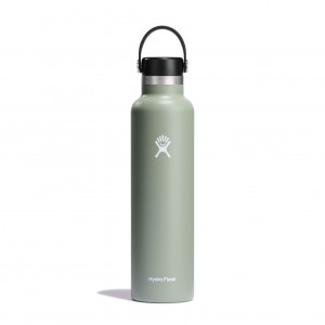 Hydro Flask 24 oz Standard Mouth Bottles Agave | LYCD32785