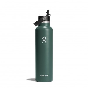 Hydro Flask 24 oz Standard Mouth with Flex Straw Cap Bottles Fir | KNHJ05678