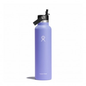 Hydro Flask 24 oz Standard Mouth with Flex Straw Cap Bottles Lupine | SOUK02781
