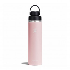 Hydro Flask 24 oz Wide Mouth with Flex Chug Cap Bottles Trillium | LVYE30492