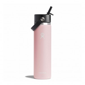 Hydro Flask 24 oz Wide Mouth with Flex Straw Cap Bottles Trillium | DPTH52794
