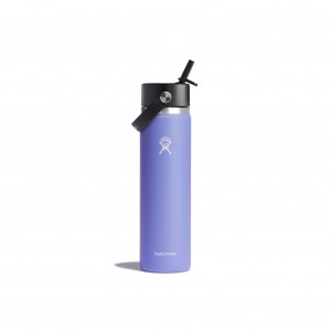 Hydro Flask 24 oz Wide Mouth with Flex Straw Cap Bottles Lupine | CYTS19370