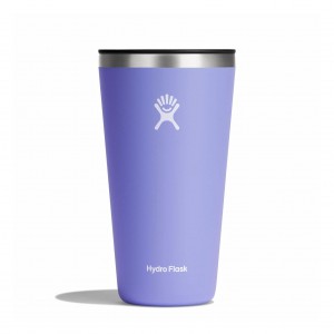 Hydro Flask 28 oz All Around Tumbler Cups & Tumblers Lupine | TYCP64017