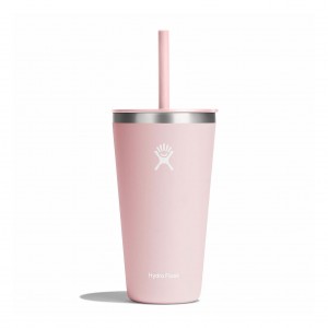 Hydro Flask 28 oz All Around Tumbler with Straw Lid Cups & Tumblers Trillium | IYQF93761