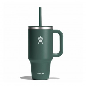 Hydro Flask 32 oz All Around Travel Tumbler Travel Tumbler Fir | COBA52709