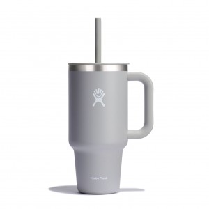 Hydro Flask 32 oz All Around Travel Tumbler Travel Tumbler Birch | VLSM83756