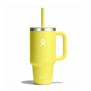 Hydro Flask 32 oz All Around Travel Tumbler Travel Tumbler Cactus | GRLM81473