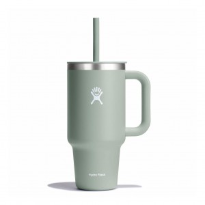 Hydro Flask 32 oz All Around Travel Tumbler Travel Tumbler Agave | OYSM24790