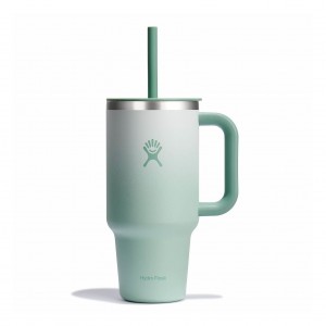 Hydro Flask 32 oz All Around Travel Tumbler Travel Tumbler Matcha Ombre | TLIB19685
