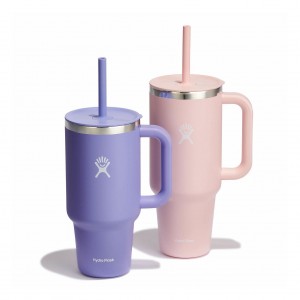 Hydro Flask 32oz/42oz Hydration Handled Bundle Bundles | NUGA59426