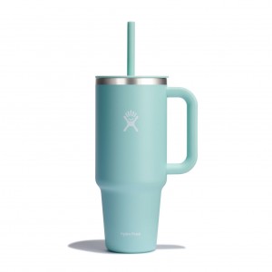 Hydro Flask 40 oz All Around Travel Tumbler Travel Tumbler Dew | LSVD45296