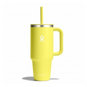Hydro Flask 40 oz All Around Travel Tumbler Travel Tumbler Cactus | IYHM61374