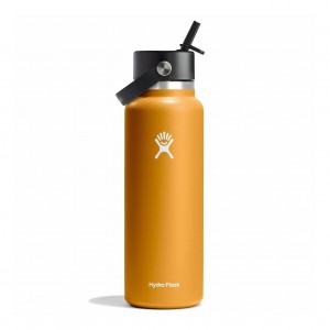 Hydro Flask 40 oz Wide Mouth with Flex Straw Cap Bottles Fossil | BPZI07618