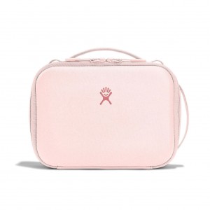Hydro Flask 5 L Carry Out Lunch Box Lunch Boxes Trillium | FZYA95724