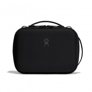 Hydro Flask 5 L Carry Out Lunch Box Lunch Boxes Sort | MICW64712