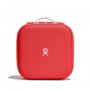 Hydro Flask Kids Insulated Lunch Box Lunch Boxes Goji | IQZY36984