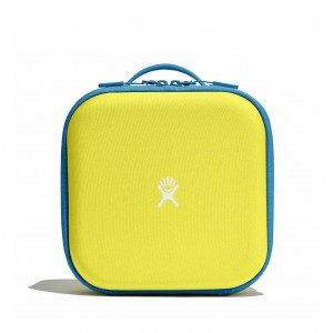 Hydro Flask Kids Insulated Lunch Box Lunch Boxes Cactus | BNQY14980