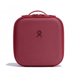 Hydro Flask Small Lunch Box Lunch Boxes Berry | OBHC53869