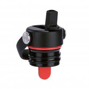 Hydro Flask Standard Mouth Flex Straw Cap Accessories Sort | COPD60784